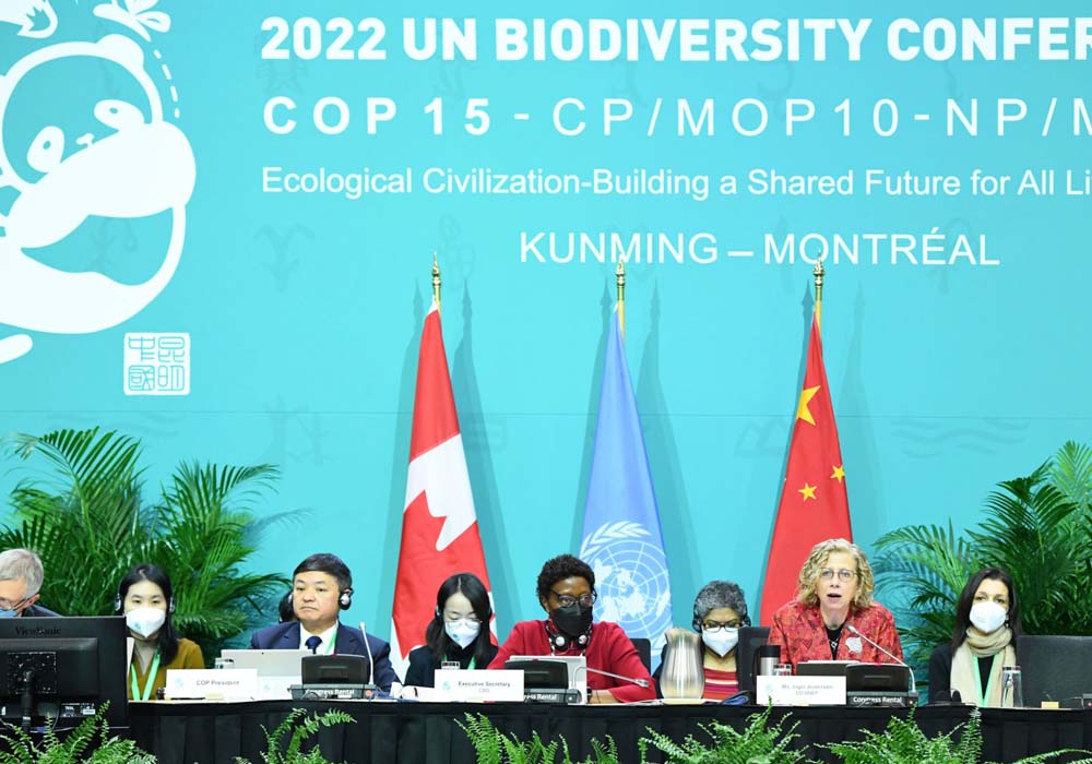 Sommet Sur La Biodiversité De La Cop 15: Voici Les Principaux Points À ...